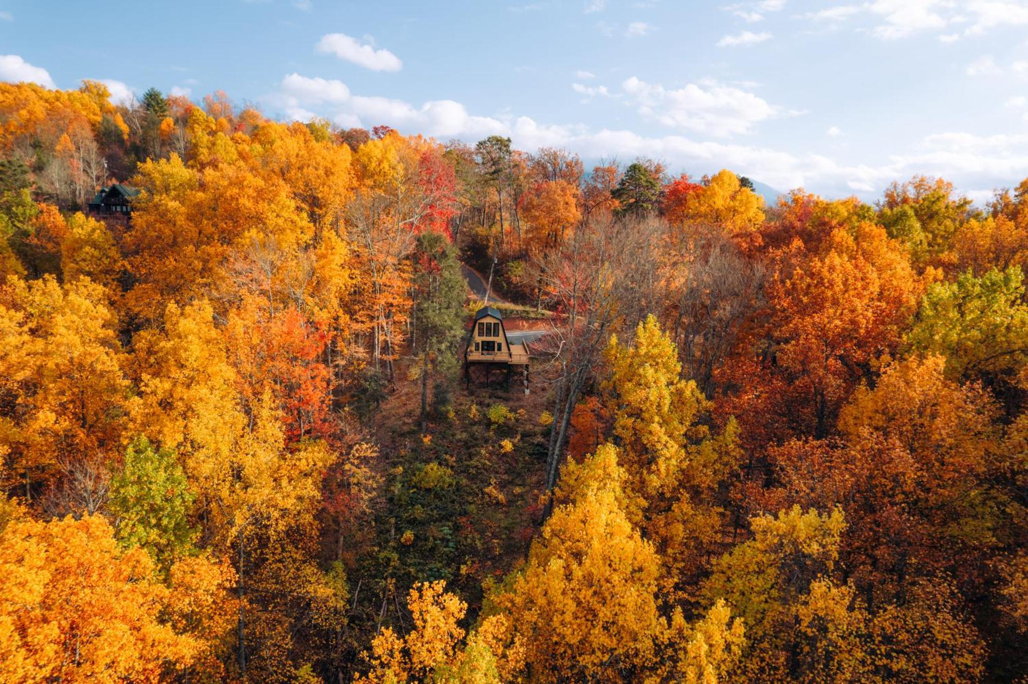 Secluded Mtn View New! 10 Mins To Gatlinburg Or Park Exterior foto