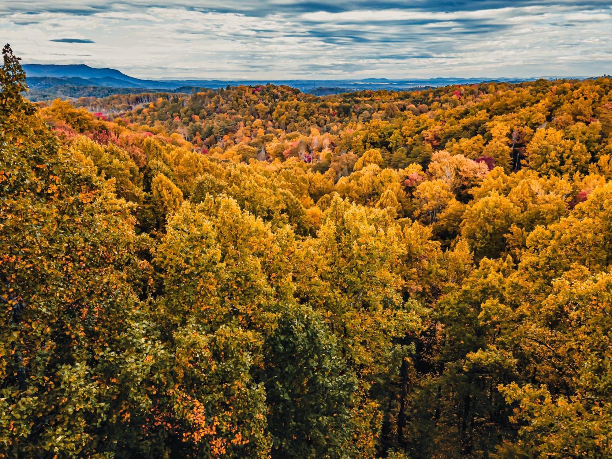 Secluded Mtn View New! 10 Mins To Gatlinburg Or Park Exterior foto